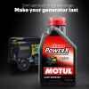 Масло для генераторів CHAMPION MOTUL Tekma Power X SAE 10W30 (1L)