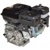 Двигун бензиновий Vitals GE 6.0-20kr (165165)